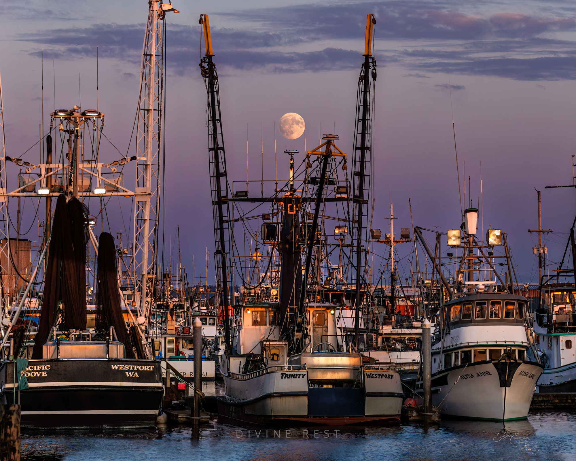 Westport Marina