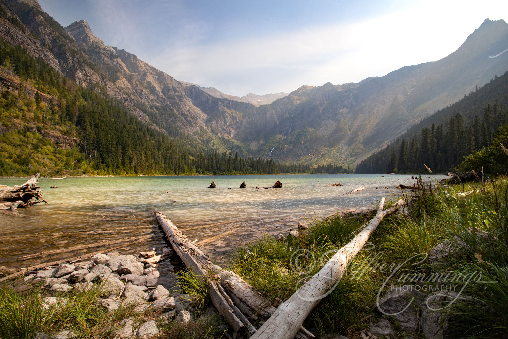 GNP-print-2