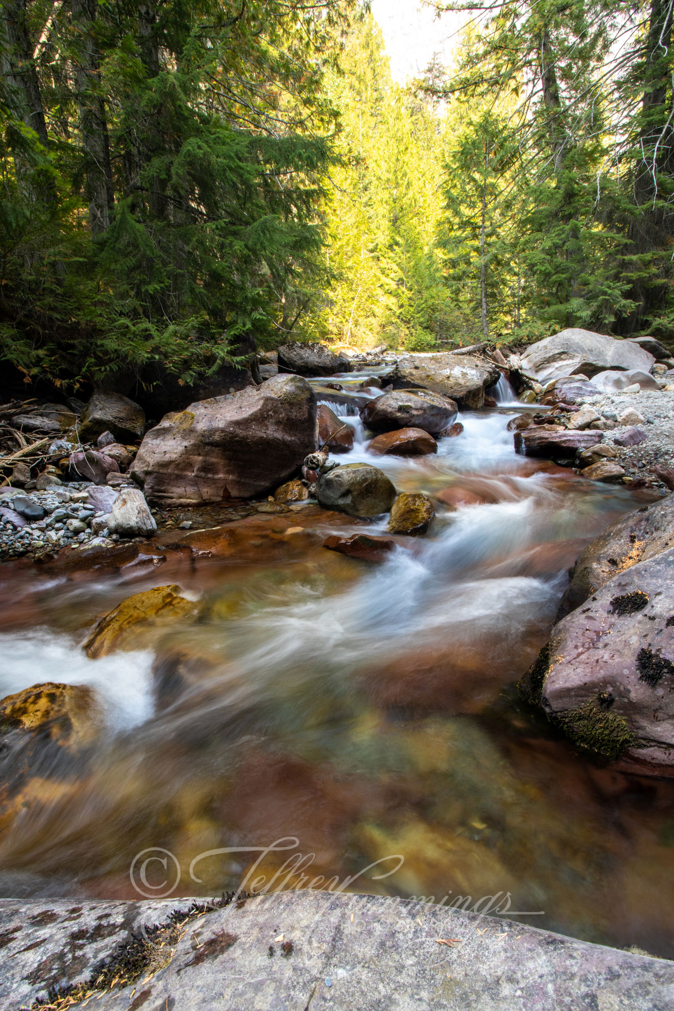 GNP-print-3