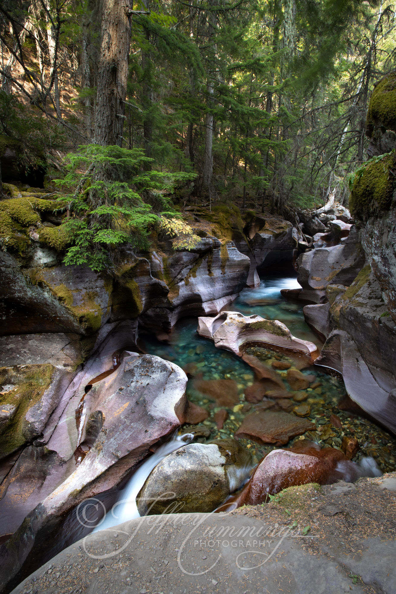 GNP-print-4