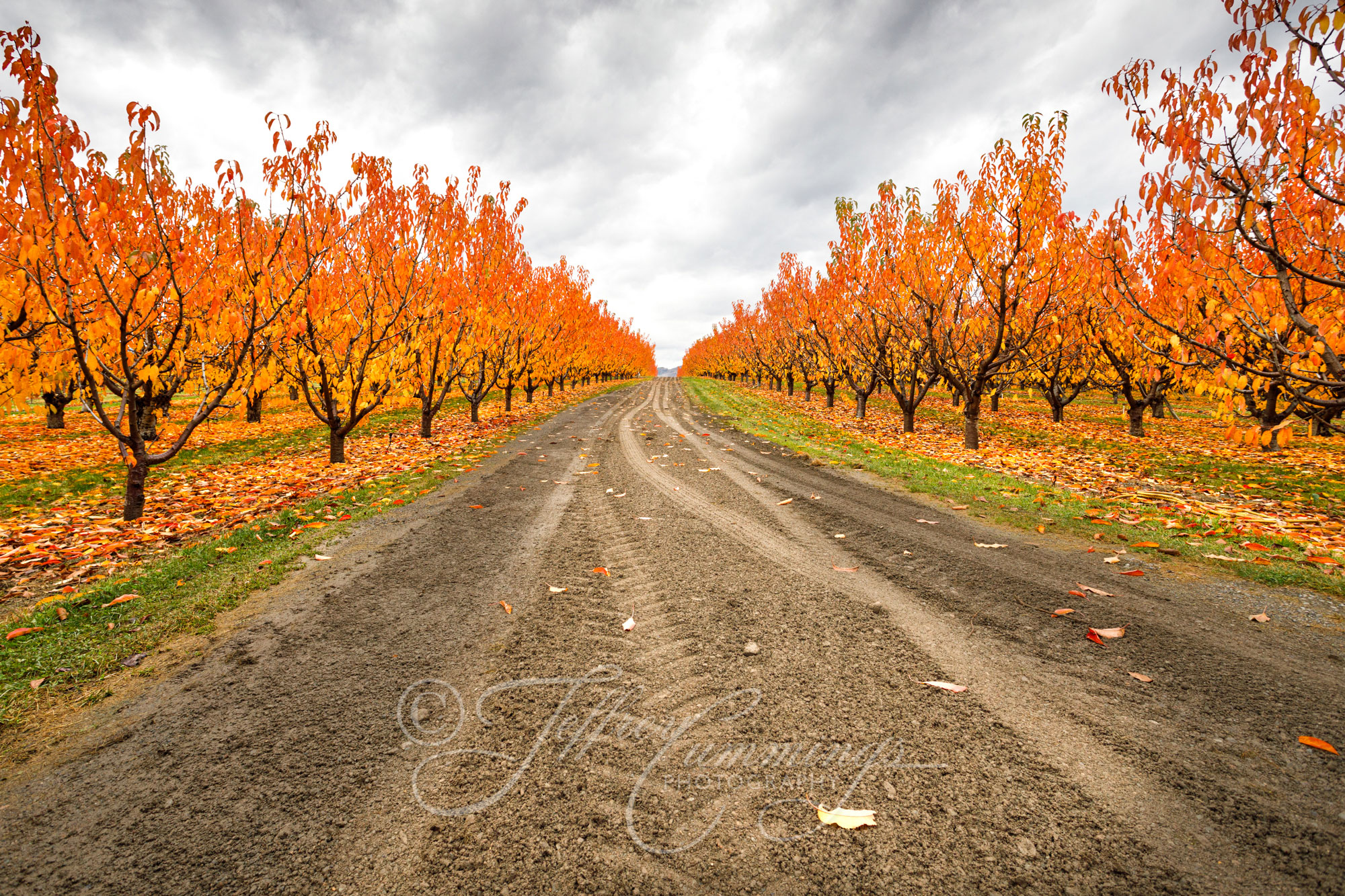 Road-to-winter-print-1