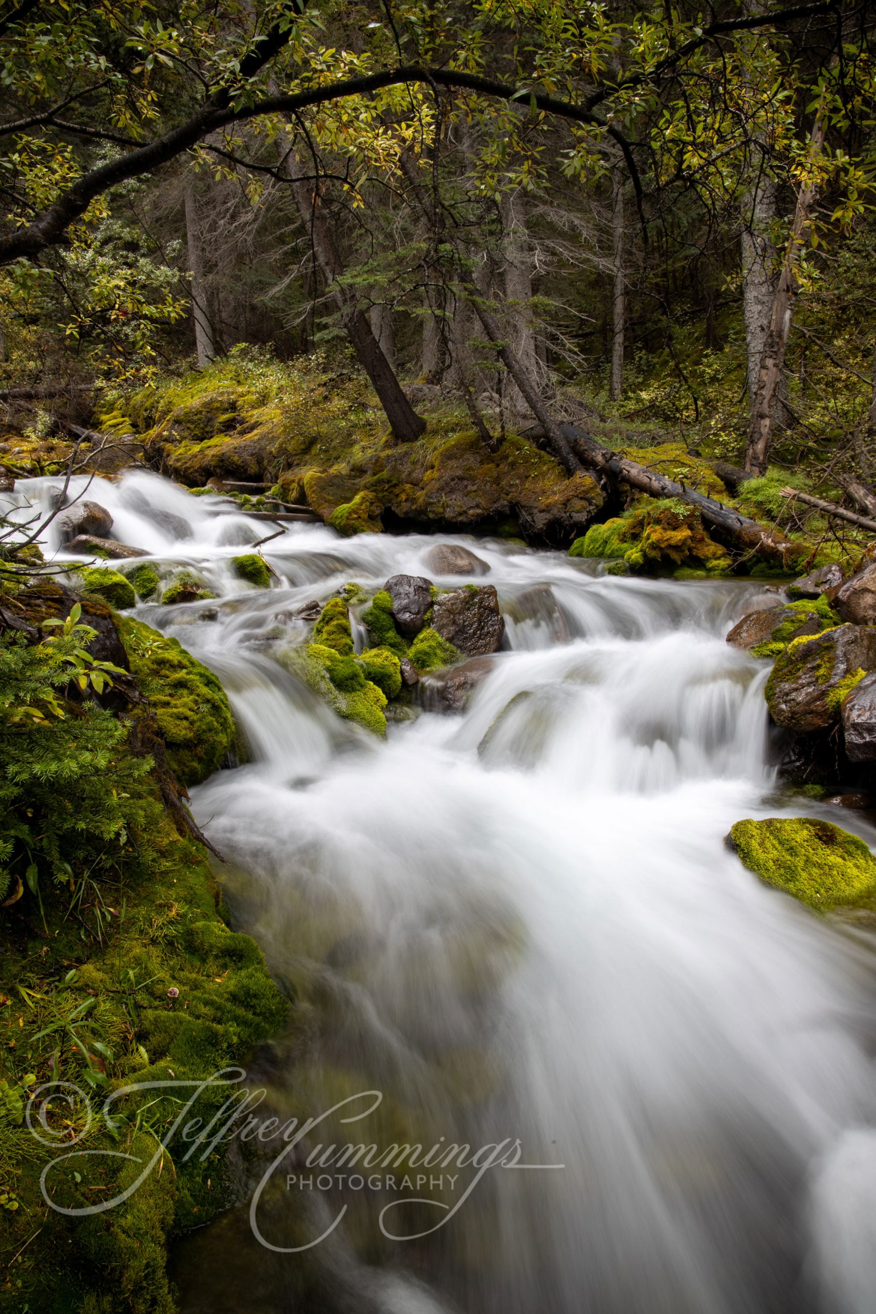 Stream-in-the-moss-Print-1