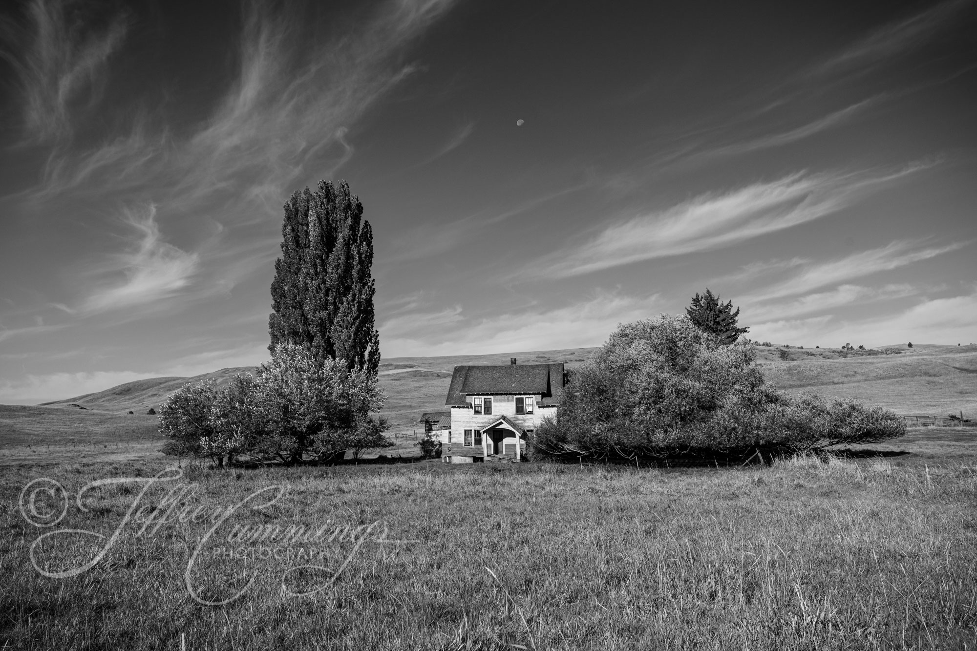 bygone-days-print-1