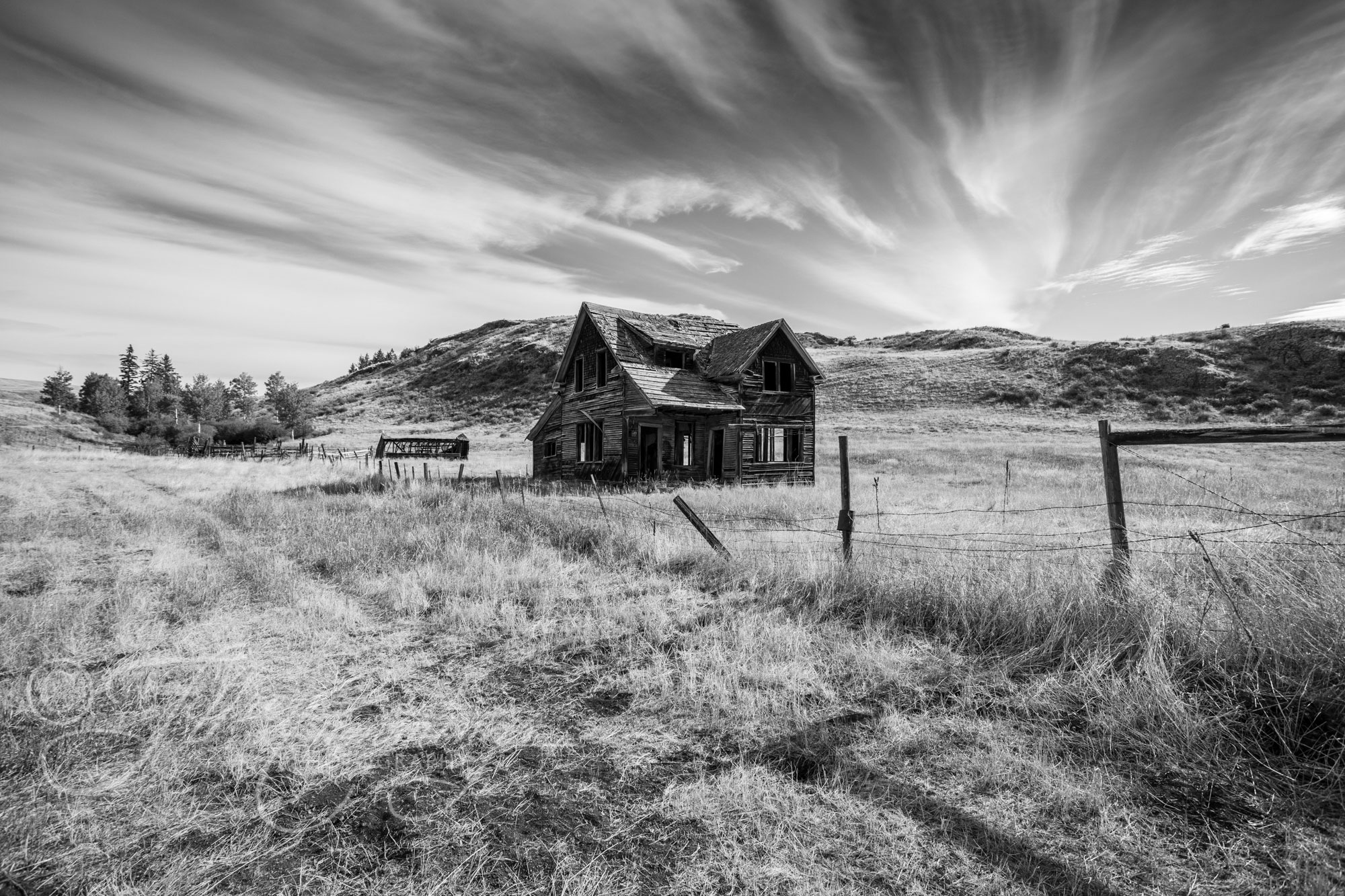 shack-print-1