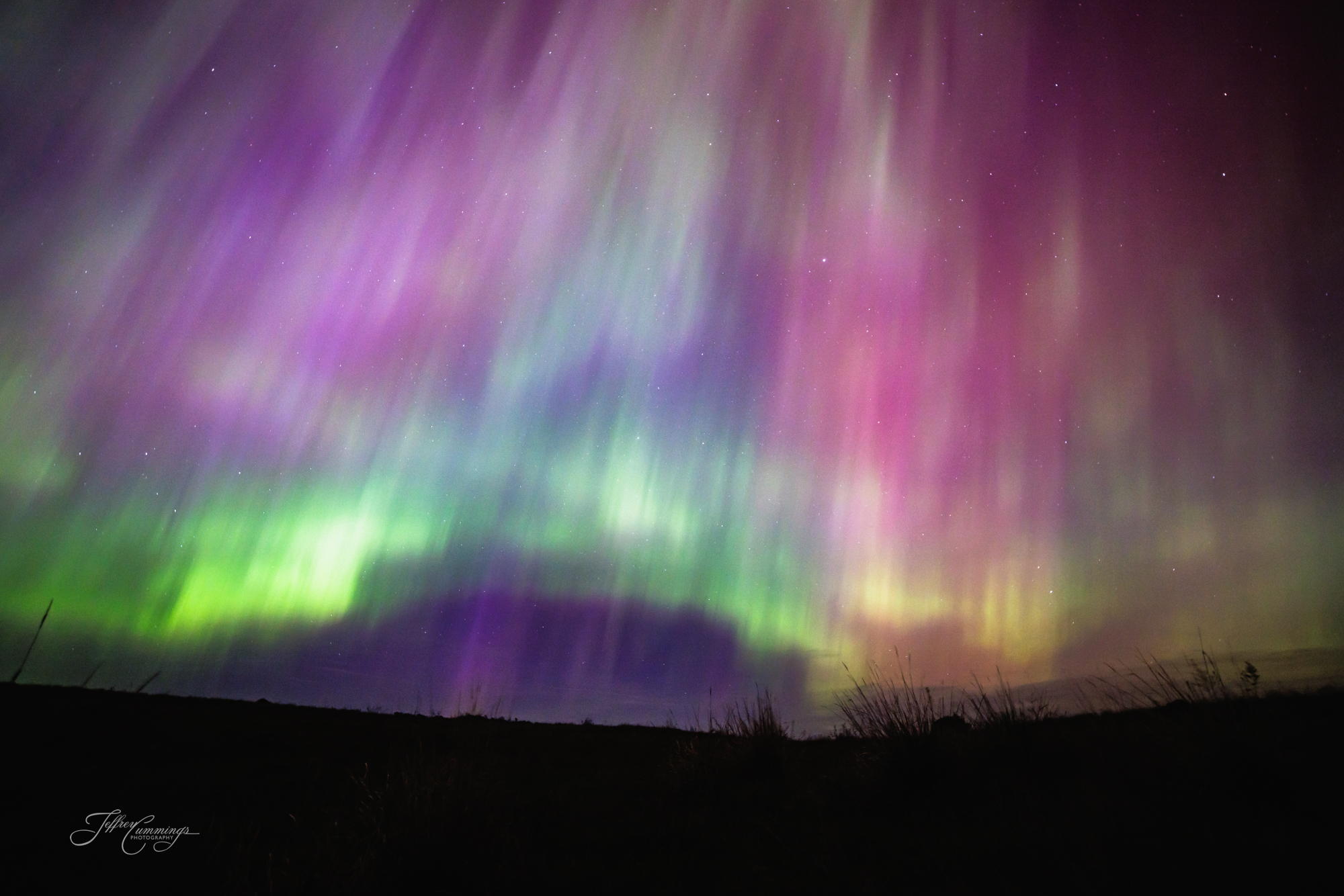 Aurora grass