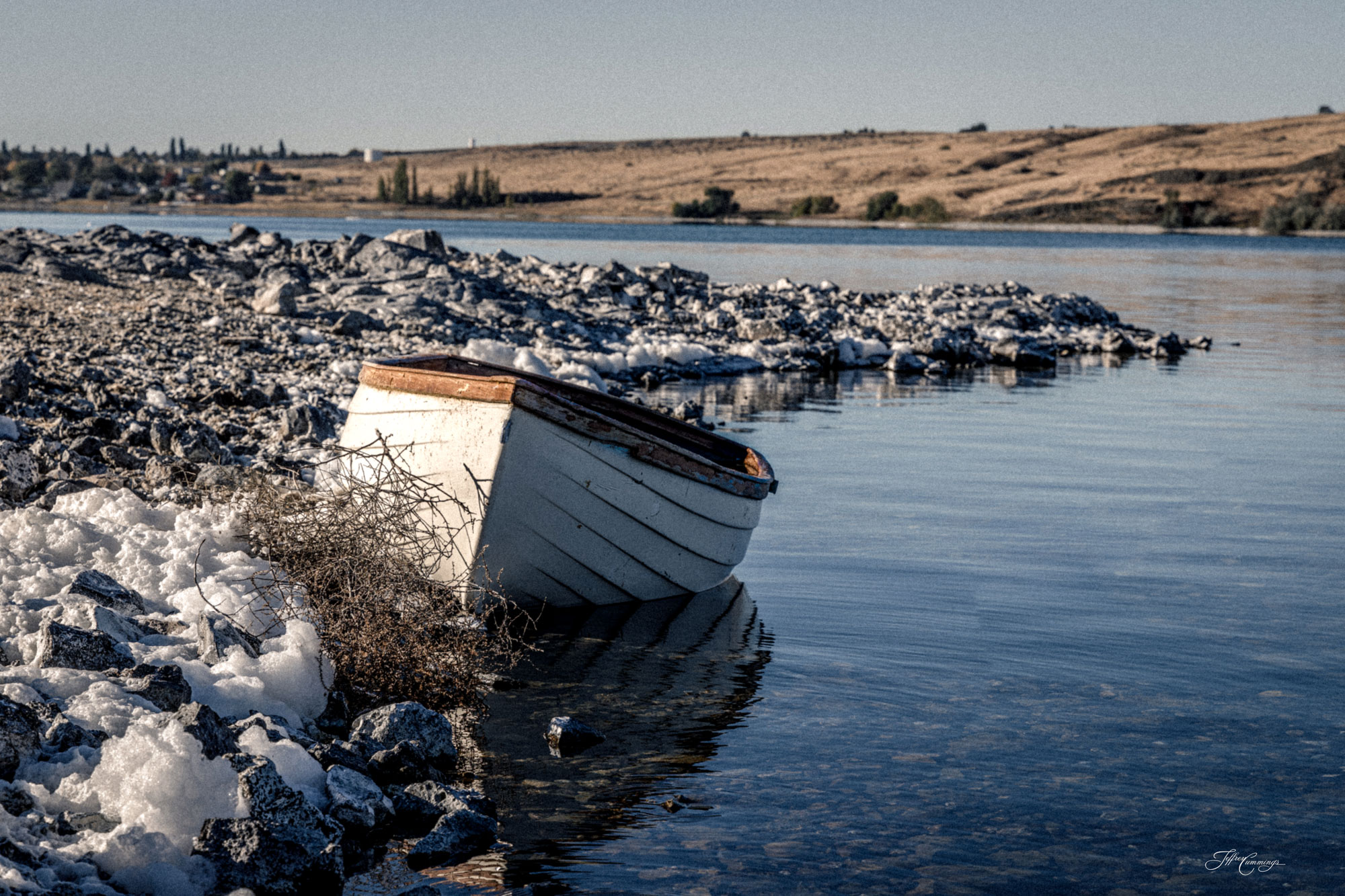 Beached Nostalgia
