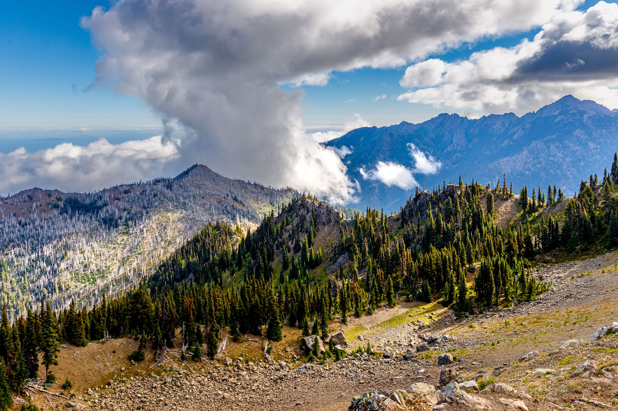Hurricane Ridge, Olympic Mountains, Washington