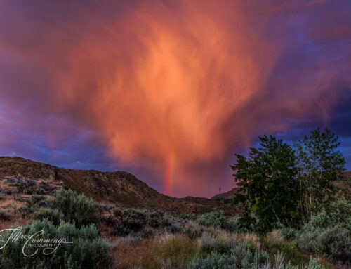 Creator’s Breath Defeats the Night
