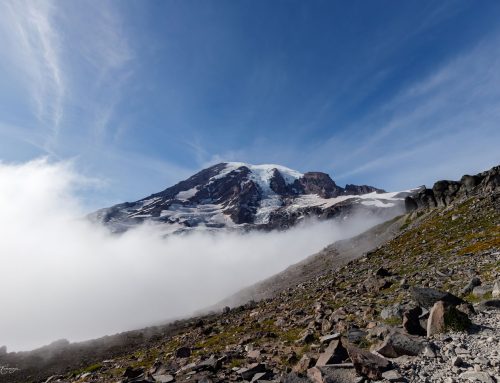 Lessons from a Mountain Hike